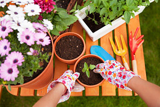 Leichte Gartenarbeit lindert chronische Schmerzen und ist damit eine gute zusätzliche Behandlung, um Schmerzen zu bewältigen.