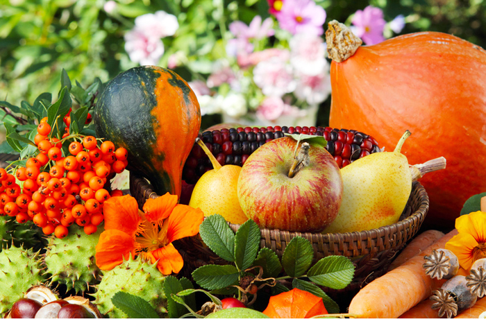 Mit dem Erntedankfest ist die Dankbarkeit für die reichliche Ernte und die Entlohnung für die schwere Arbeit während des Jahres verbunden.