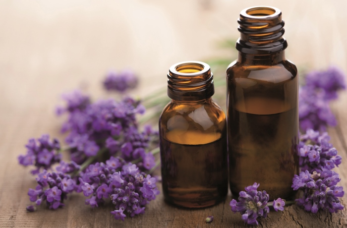 Inhalation von Lavendel kann Migräne-Kopfschmerzen lindern. In einer Studie mit Lavendelöl gewannen Wissenschaftler diese neue Erkenntnis. 