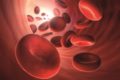 Ein geringer Anteil an Homocystein im Blutplasma ist normal. Steigt der Wert aber an, drohen ernste gesundheitliche Auswirkungen.