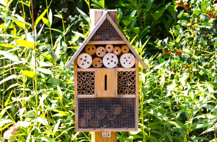 Nützliche Insekten wie Wildbienen finden immer schwerer Räume zum Leben. Man kann jedoch ein Insektenhotel im Garten aufstellen.